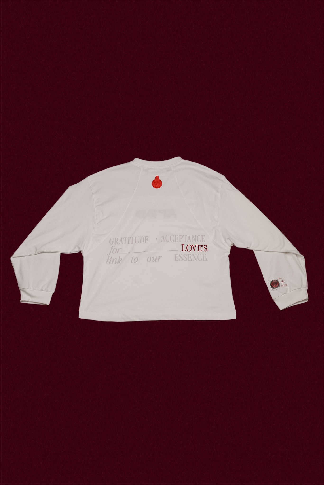 Camibuzo {NOVA} - Acceptance - Noise to Love